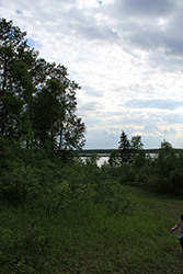 View of Lake